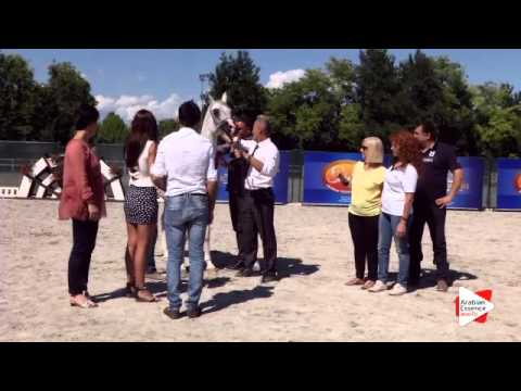 2nd place N.37 NAJAA ASHIRAF - Festival FVG 2015 - Senior Females Championship (Class 17)