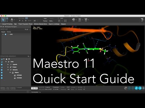 Maestro - Quick Start Guide [outdated]
