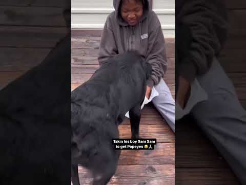 me and my boy SAMSON got 🍗 #popeyes #destroylonely #dogs