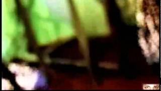 Chico Science e Nação Zumbi | Manguetown | Real Audio