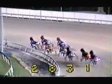 1982 Meadowlands Driscoll Pace Genghis Khan