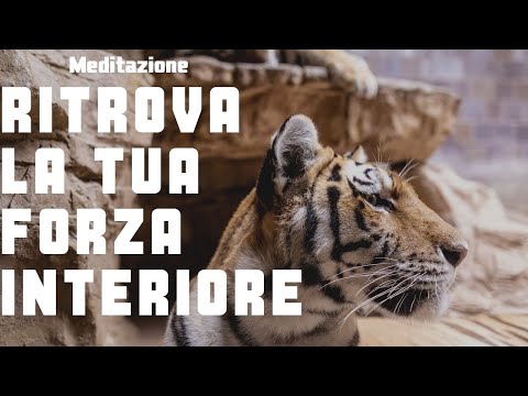 Ritrova la Tua Forza Interiore - Meditazione
