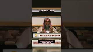 Download lagu Why Shia pray 3 times? #assimalhakeem #islam #sunni #shia #salah #prayer #quran #hadith #shorts mp3 Download lagu Why Shia pray 3 times? #assimalhakeem #islam #sunni #shia #salah #prayer #quran #hadith #shorts mp3