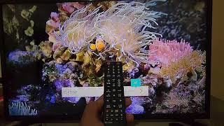 Samsung Smart TV : How to adjust Contrast