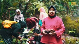 Universitas Nasional - Studi Potensi Jamur Berkhasiat Obat