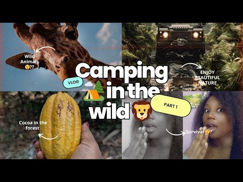 Camping in the wild 🦁🦒 In Ghana ✨ #camping #travelvlog #ghana