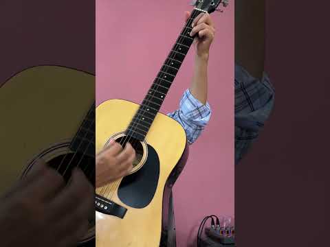 Pajarillo - Bonanza