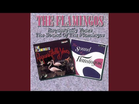 Nobody Loves Me Like You