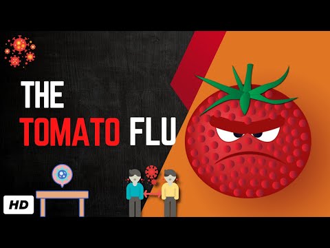 Chapare Hemorrhagic Fever Causes Signs and Symptoms Diagnosis and Treatment