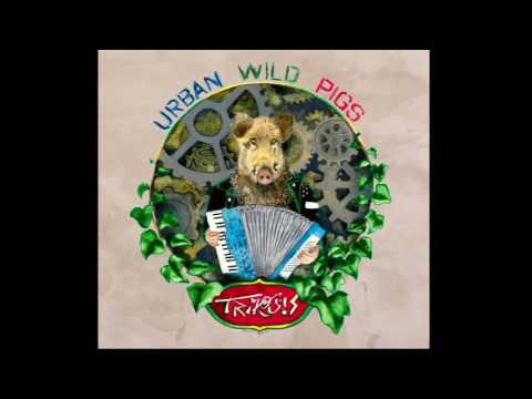 download lagu mp3 mp4 Trikosis, download lagu Trikosis gratis, unduh video klip Trikosis