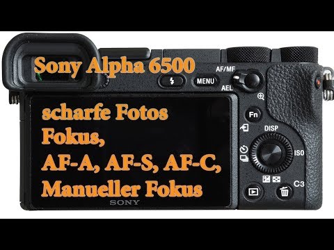 scharfe Fotos, Fokus, AF-A, AF-S, AF-C, Manueller Fokus