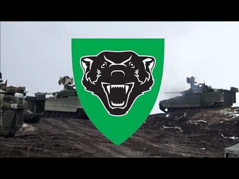 Stormeskadron 4, Panserbataljonen, Dimmefilm Kont.1608