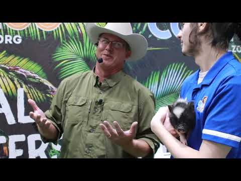 JMC304: Social Media Writing Assignment - KC Home & Flower Show