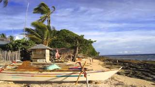 preview picture of video 'eta Apo island malatapay dumaguete dauin scuba dive saving marine sanctuary'