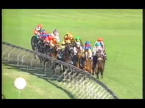 Arabian Lass Premiers Champion Stakes Juvenile