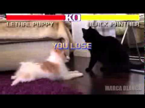 Street Fighter Xtremely Cute Edition   Marca Blanca