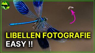 Unscharfe Fotos❗️ Wieviele sind normal? Beispiele bei Libellen im Flug