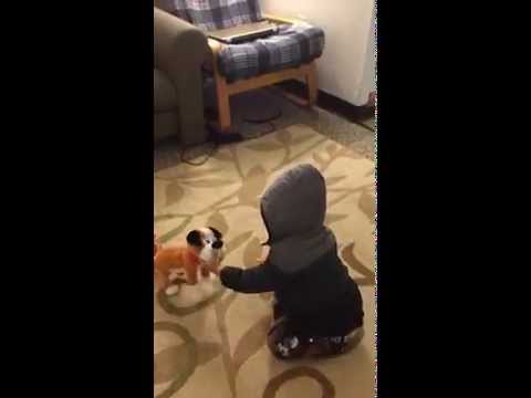 Who let the dog out....