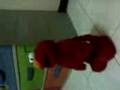 Ticklish Elmo