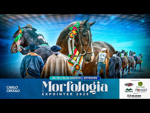 GRANDE FINAL MORFOLOGIA CAVALO CRIOULO EXPOINTER 2025 | DOMINGO – 31/08