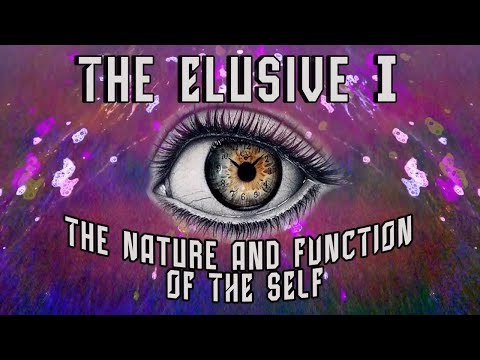 The Elusive I - Part 4 w/Gregg Henriques, John Vervaeke, Christopher Mastropietro