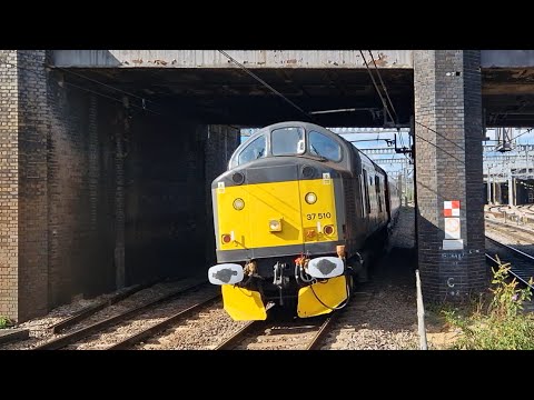 Class 37510 passing Alexandra Palace on the Fast Lines
