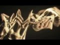 Tricity: Lions 