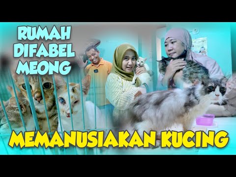MEREKA LUAR BIASA ❗️🤩❗️MENYELAMATKAN KUCING‼️ANIMAL COMMUNICATOR