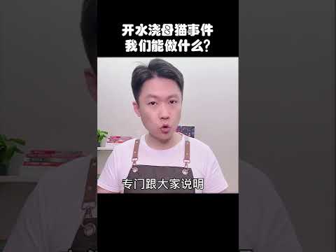 开水烫猫！除了谴责，我们还应该做什么？