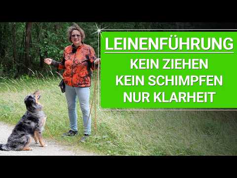 💥🐶 Leash training for an excited dog 👉 It's really that easy! 🐶💥✔️