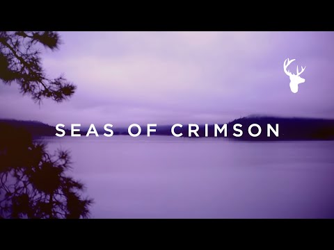 Seas of Crimson (Official Lyric Video) - Brian Johnson | We Will Not Be Shaken