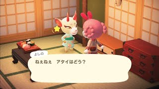 違いに気づいて欲しいよしのちゃん【あつ森】