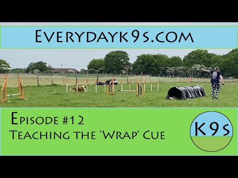 Distance Handling 101 - Foundation Skills: Episode 12 - Adding the 'Wrap' cue to a cone