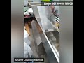 Good Quality Sesame Washing Machine Sesame Cleaning Machine Cassia Seed Cleaning Machine