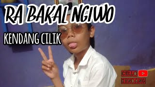 Download lagu RA BAKAL NGIWO COVER CELLO KENDANG CILIK mp3 Download lagu RA BAKAL NGIWO COVER CELLO KENDANG CILIK mp3