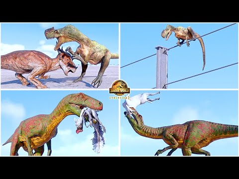 Herrerasaurus & Monolophosaurus All Perfect Animations & Interactions 🦖 Jurassic World Evolution 2