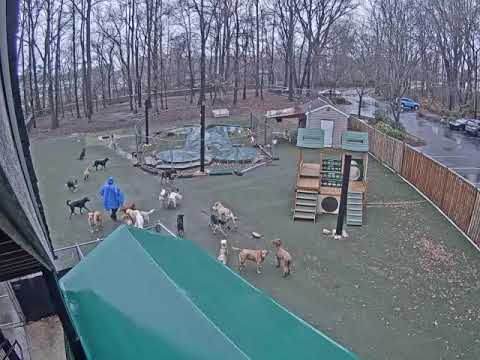 Daycare Play Yard Cam1 live webcam