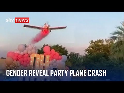 Pilot dies after plane crashes at gender reveal party