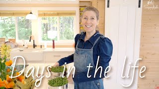 SPRING DAYS homemaking vlog | cooking, gardening