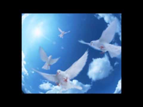 Haikyo no hato