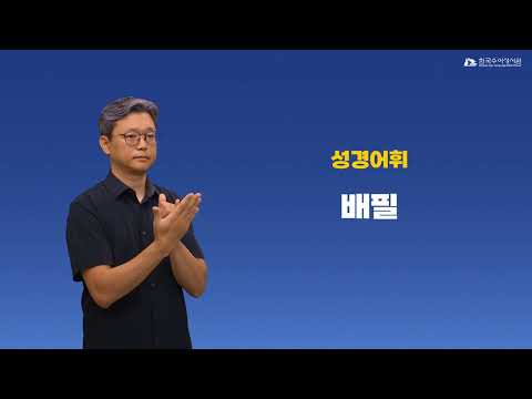 배필 수어