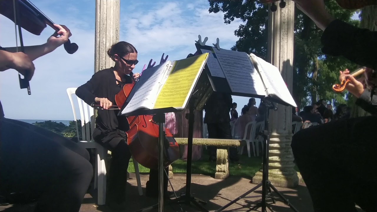Promotional video thumbnail 5 for Bel Canto Strings