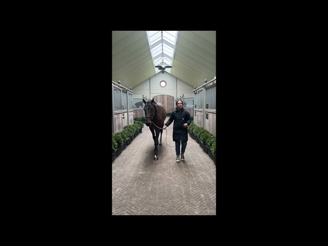 Twinty Du Vieux Chene walk & 360