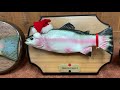 NEW Singing Fish Of 2018