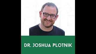 Dr. Joshua Plotnik: Inside The Elephant Mind