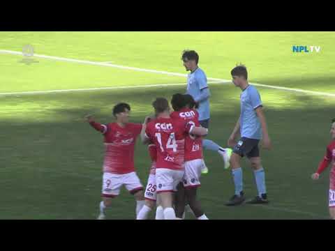 NPL NSW Men's Round 25 Fixture – Wollongong Wolves v Sydney FC