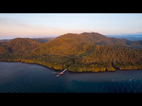 The Forgotten Island Where Evolution Was Born | Halmahera, Indonesia