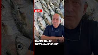 🐟 Hangi balık, ne zaman tüketilmeli?