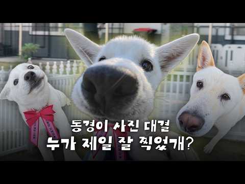 안녕하세요동경이입니다잘부탁드립니다왈
