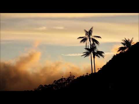 Yass feat. FNX OMAR & Cee ElAssaad - Organizm